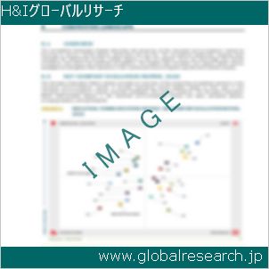 グローバルリサーチ調査レポートのイメージ